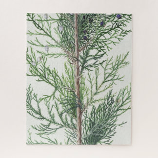 Tree Branch Leaves Impossible Jigsaw Puzzle