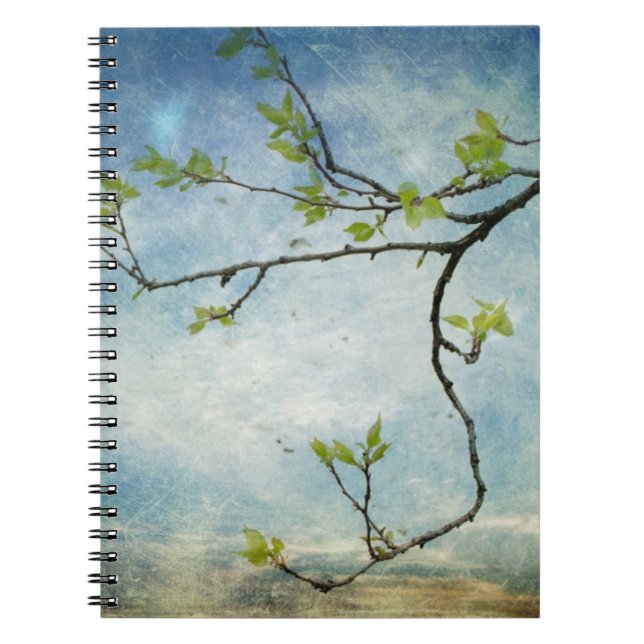 Tree Branch Over Textured Sky Spiral Notebook (Front)