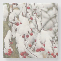 TREE BRANCH STEMS /DANGLING RED BERRIES IN SNOW