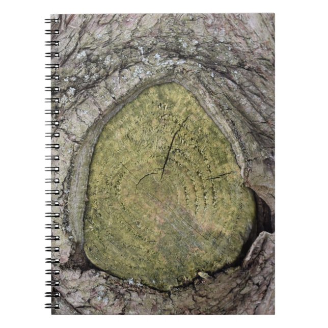 Tree Branch Stub Close Up    Notebook (Front)