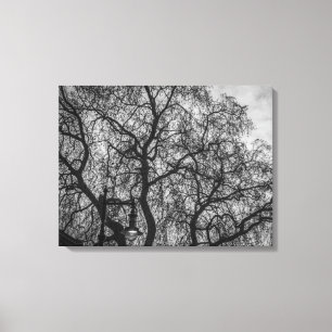 Tree branches in black and white view canvas print
