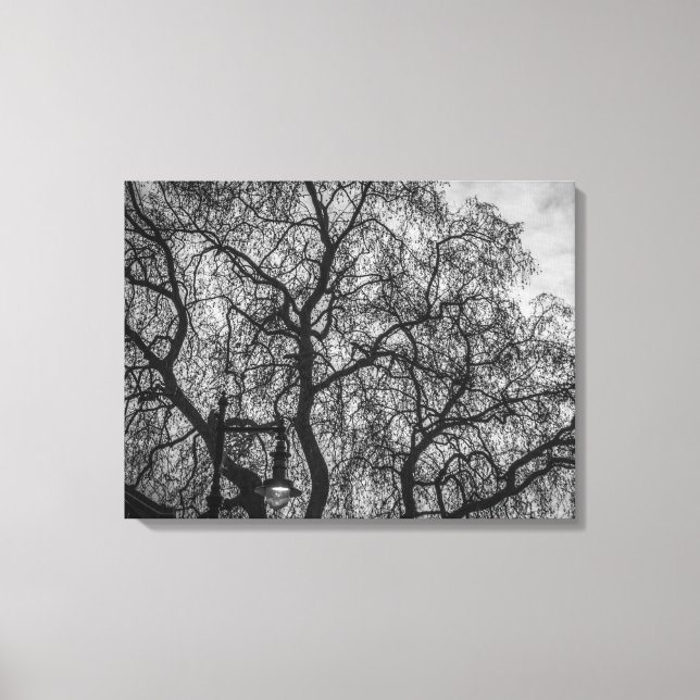 Tree branches in black and white view canvas print (Front)