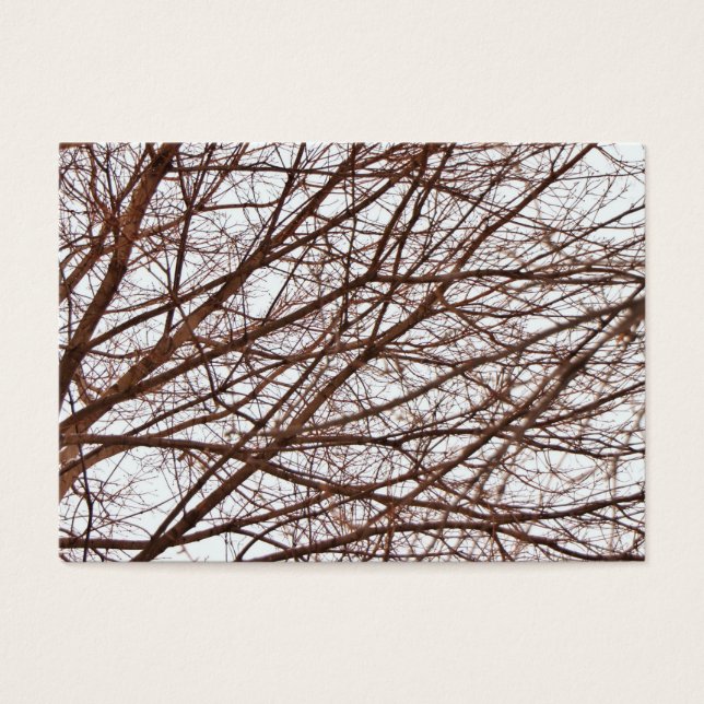 Tree Branches in Fall (Front)