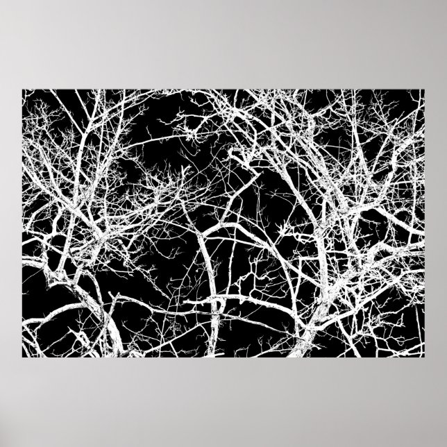 Tree branches on black background poster (Front)