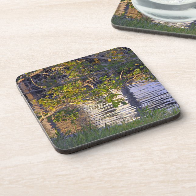 Tree Branches, Sunlight, Reflection Coaster (Left Side)