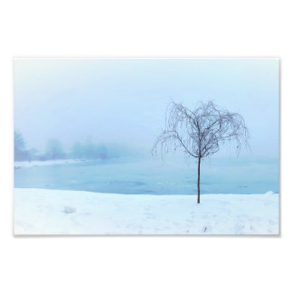 Tree by a Frozen Lake Photo Print
