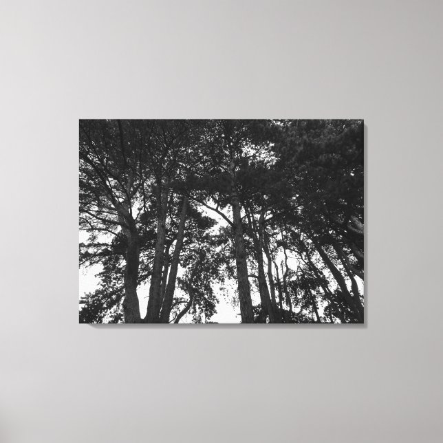 Tree Canopy II, Bute Park, Cardiff Canvas Print (Front)