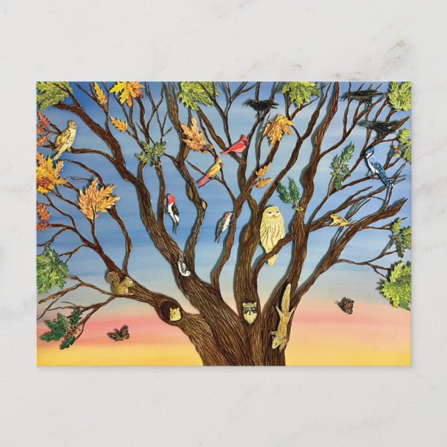 Tree Canopy Postcard (Front)