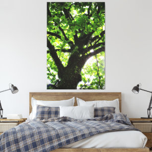 Tree Canvas Print