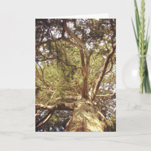 Tree Card