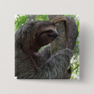 Tree Climbing Sloth Square Pin