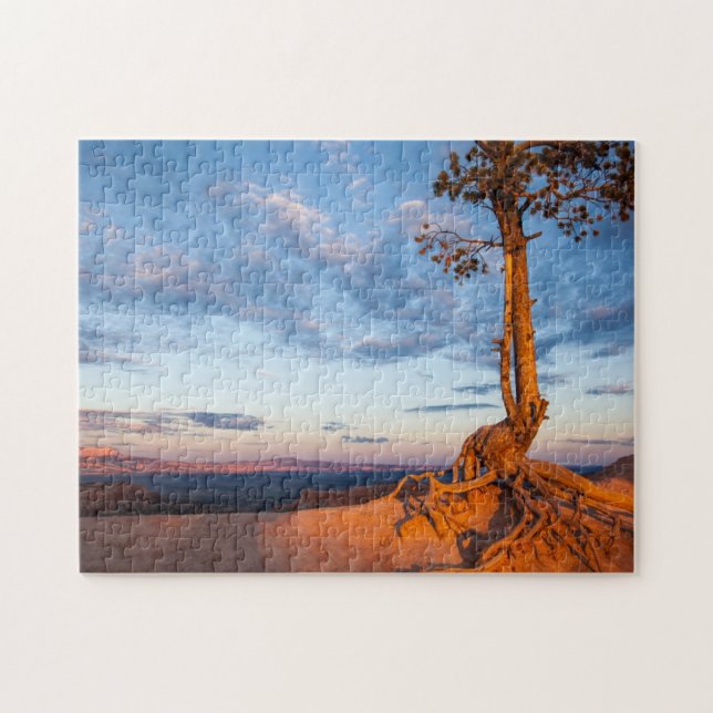 Tree Clings to Ledge, Bryce Canyon National Park Jigsaw Puzzle (Horizontal)