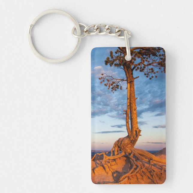 Tree Clings to Ledge, Bryce Canyon National Park Key Ring (Front)
