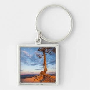 Tree Clings to Ledge, Bryce Canyon National Park Key Ring