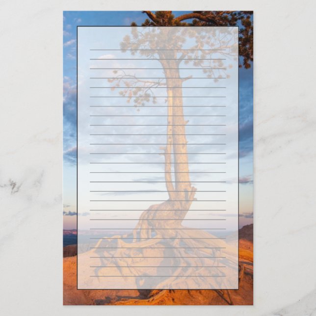 Tree Clings to Ledge, Bryce Canyon National Park Stationery (Front)