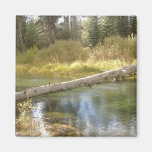 Tree Creek Photo Magnet
