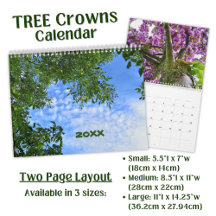 Tree Crowns Photo -