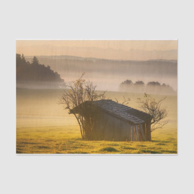 Tree Decorated Cabin in the Morning Mist Tissue Paper (Front)