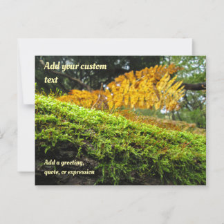 Tree Draped in Autumn Moss - Personalized Postcard