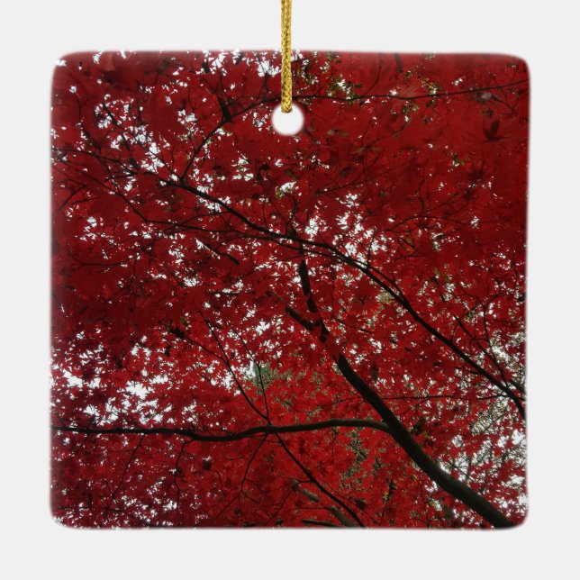 Tree Fall Season Red Brown Autumn Leaves Ceramic Ornament (Back)