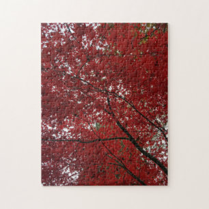 Tree Fall Season Red Brown Autumn Leaves Jigsaw Puzzle