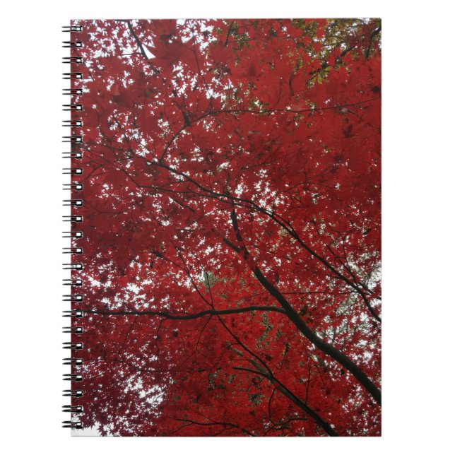 Tree Fall Season Red Brown Autumn Leaves Spiral Notebook (Front)