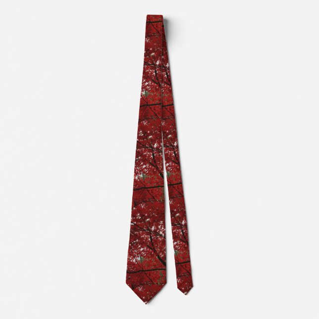 Tree Fall Season Red Brown Autumn Leaves Tie (Front)