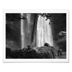 Tree Falls B&W Photo Print