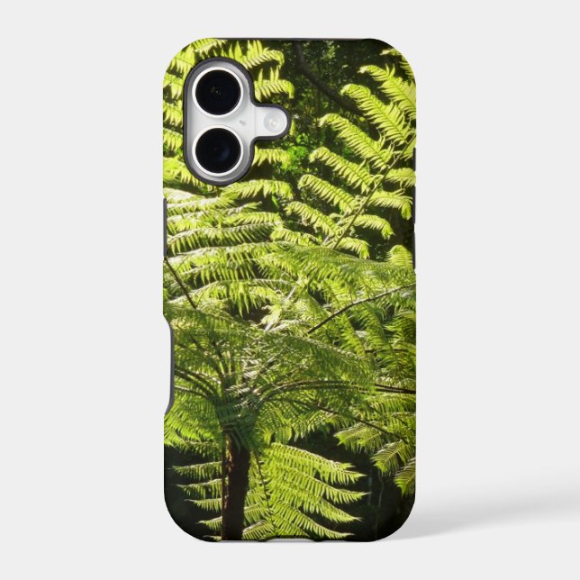 Tree Fern in the Rainforest (Back)