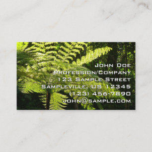 Tree Fern in the Rainforest Business Card