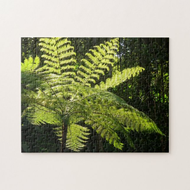 Tree Fern in the Rainforest Jigsaw Puzzle (Horizontal)