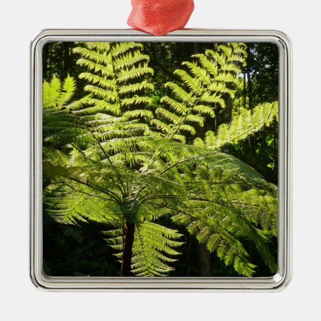 Tree Fern in the Rainforest Metal Tree Decoration (Front)