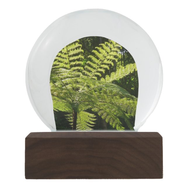Tree Fern in the Rainforest Snow Globe (Front)