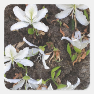 Tree flowers square sticker