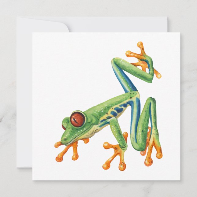 Tree frog (Front)