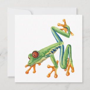 Tree frog