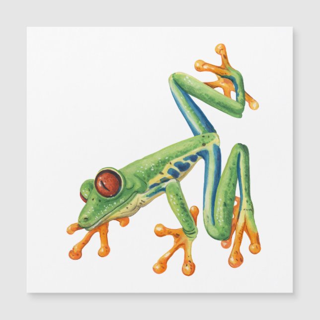 Tree frog (Front)