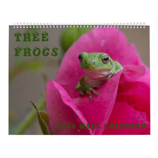 Tree Frog 14.25 X 11 Wall Calendar (Cover)