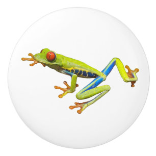 Tree Frog Ceramic Knob