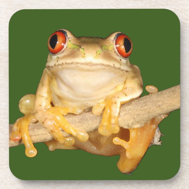 Tree Frog Coaster (Front)