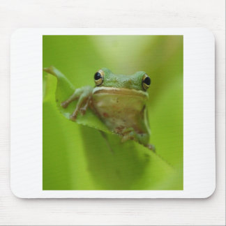Tree Frog Green Customise jump Mouse Pad