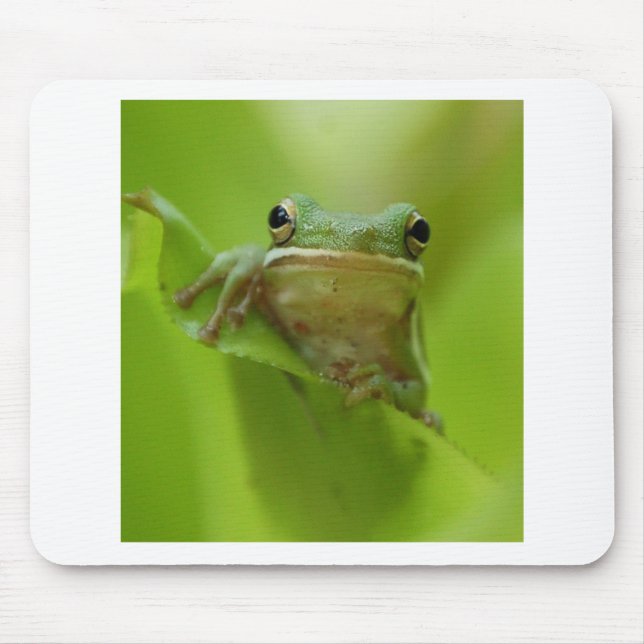 Tree Frog Green Customise jump Mouse Pad (Front)