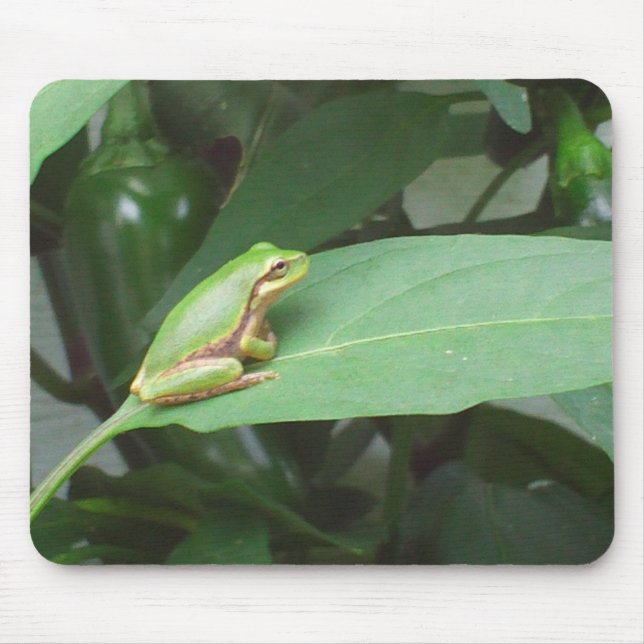 tree frog in the peppers mouse pad (Front)