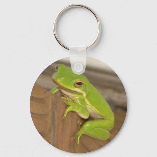 Tree Frog KeyChain (Front)