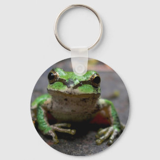 Tree Frog Keychain