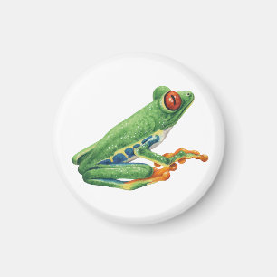Tree frog magnet