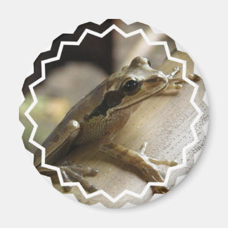 Tree Frog Magnet