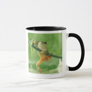 Tree Frog Mug