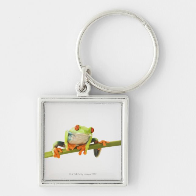 Tree frog on stem key ring (Front)