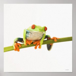 Tree frog on stem poster